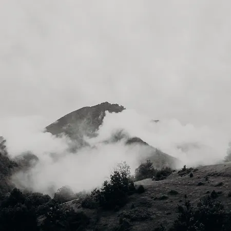 Tiny House Casa De Lili Casa de Férias